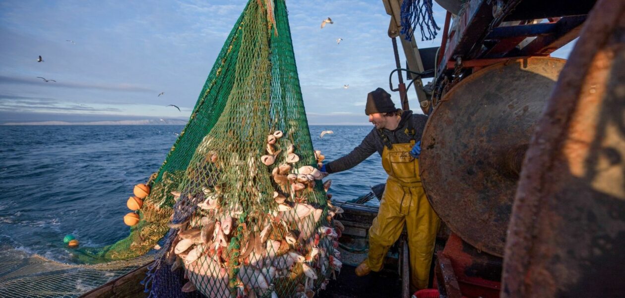 a man overfishing using a net